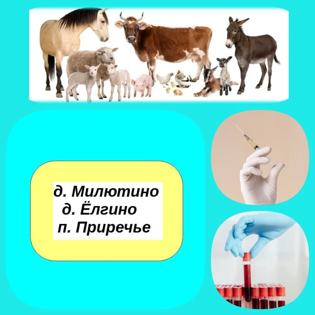 📣 Уважаемые жители: