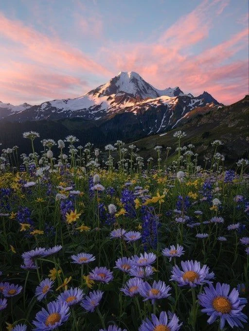 🌺Мы получаем от жизни то, во что верим.