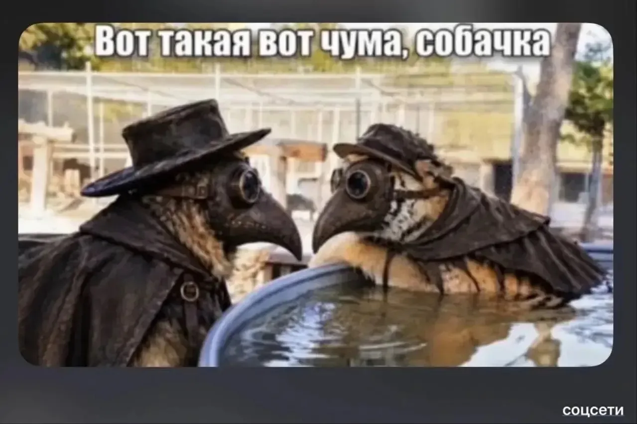 👋Официально: история с "чумой" пневмонией в Приангарье закрыта