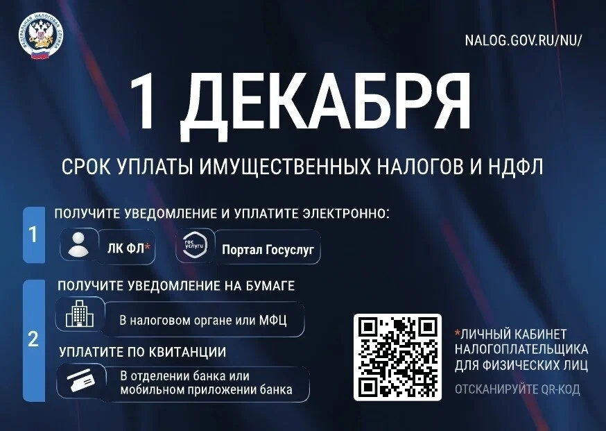 📋 Важное напоминание! Не позднее 1 декабря необходимо уплатить налоги за прошлый год.