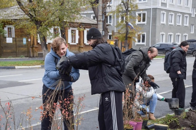 Тюменский питомник подарил Кургану саженцы елей обычной и голубой, кизильника, берез - ...