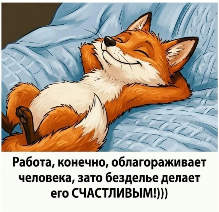 #разное