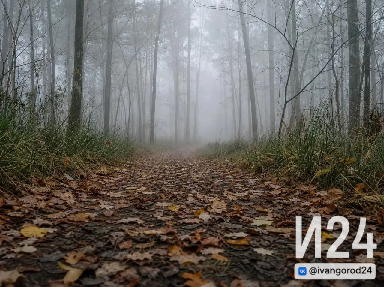 🌧️ Ивангород, доброе утро!