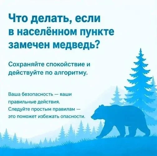 ⚠️ Памятка: как вести себя при встрече с медведем