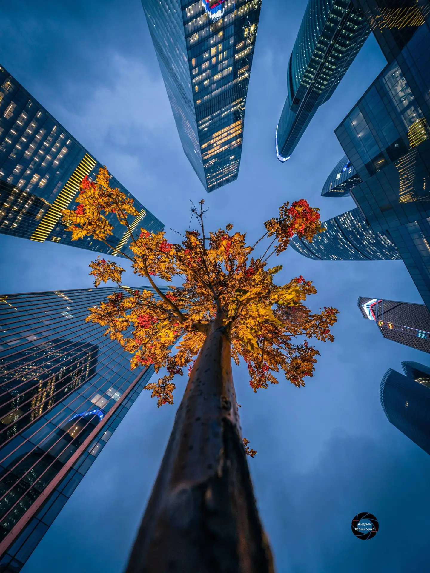 🍂 Немного осени в каменных джунглях.