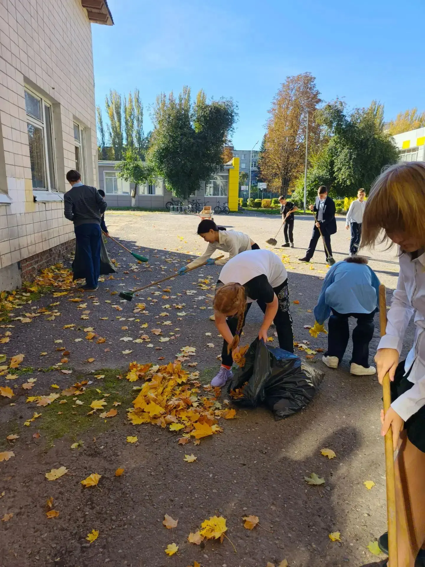 Сегодня учащиеся 7 «А» класса приняли участие в общешкольной акции «Чистый двор», цель ...
