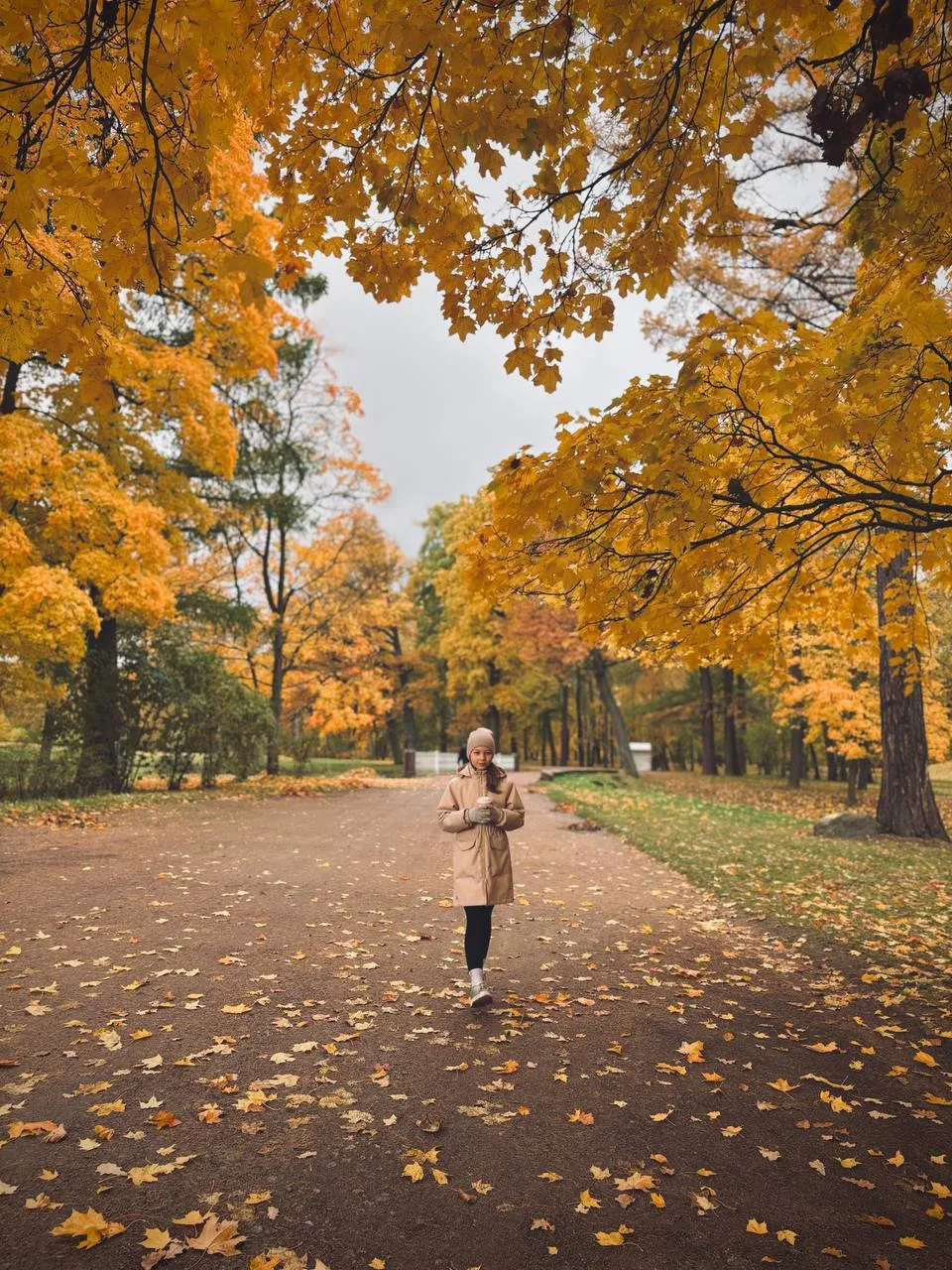 🍂🍁 «I'm so glad I live in a world where there are Octobers» ( L.M. Montgomery)