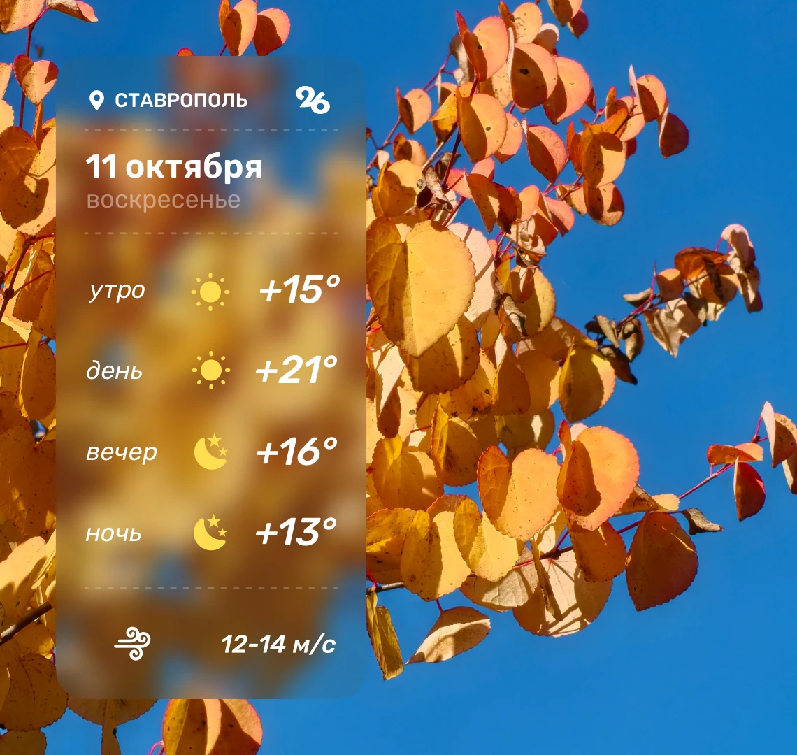 ☀️ Погода в Ставрополе 11 октября