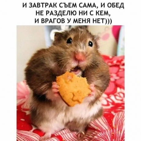 Приятного аппетита, друзья!☺️☺️☺️