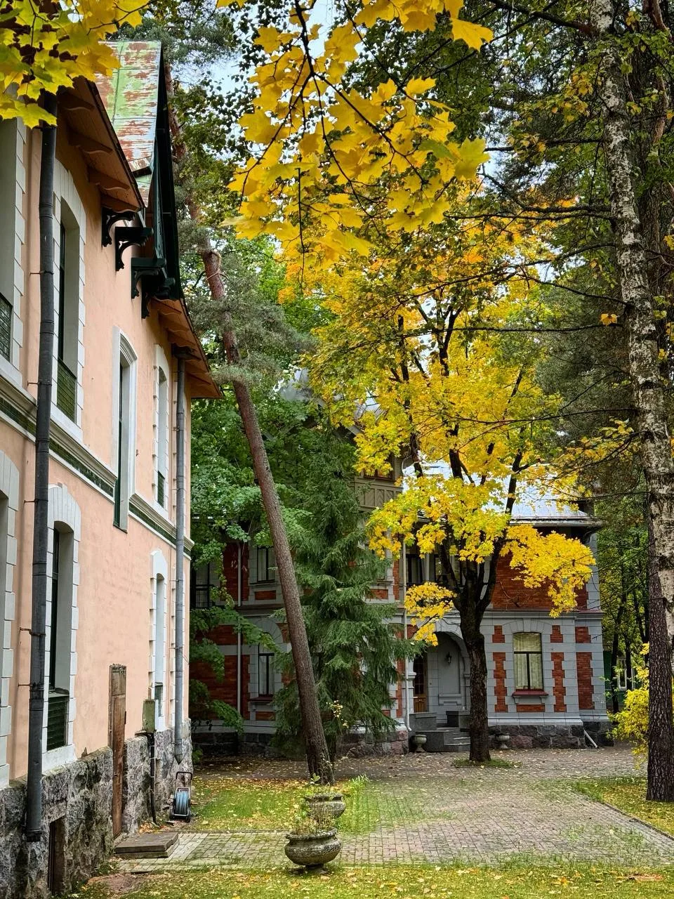 📆 Говорят, что осень — это лучшее время для визита в Сестрорецк!