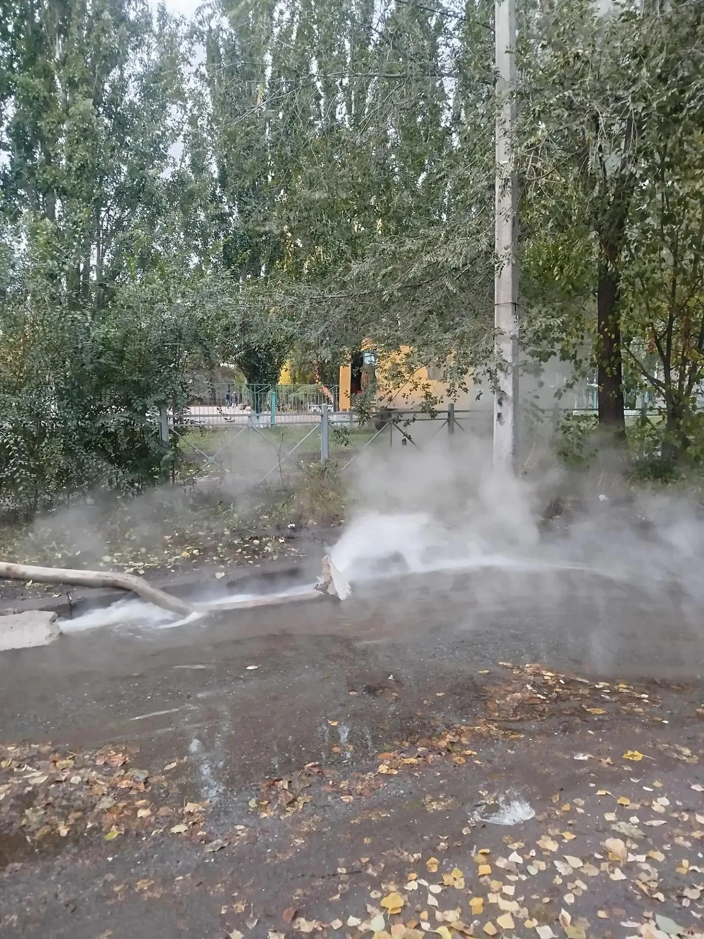 💦В Омске у левобережной гимназии прорвало трубу с кипятком.