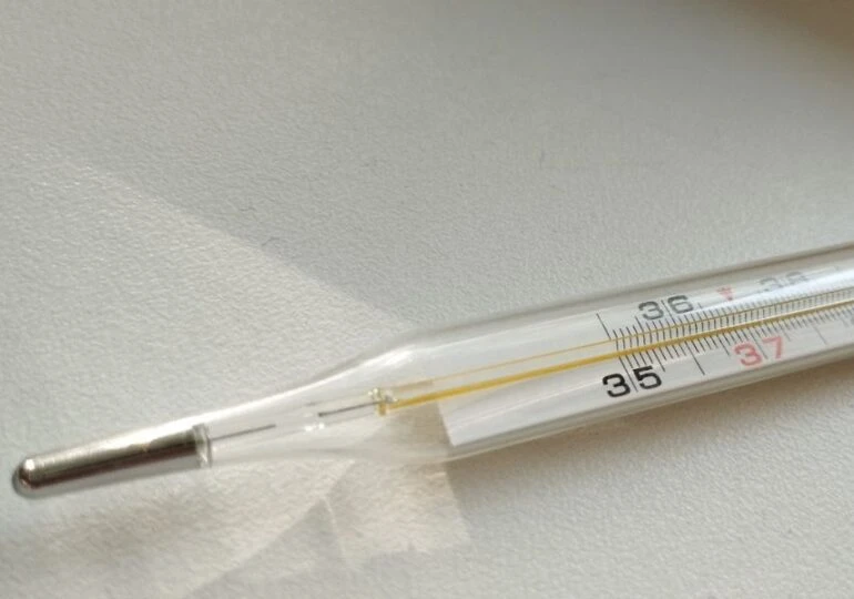 😷 Самарцам рассказали, сколько продлится сезон гриппа и ОРВИ