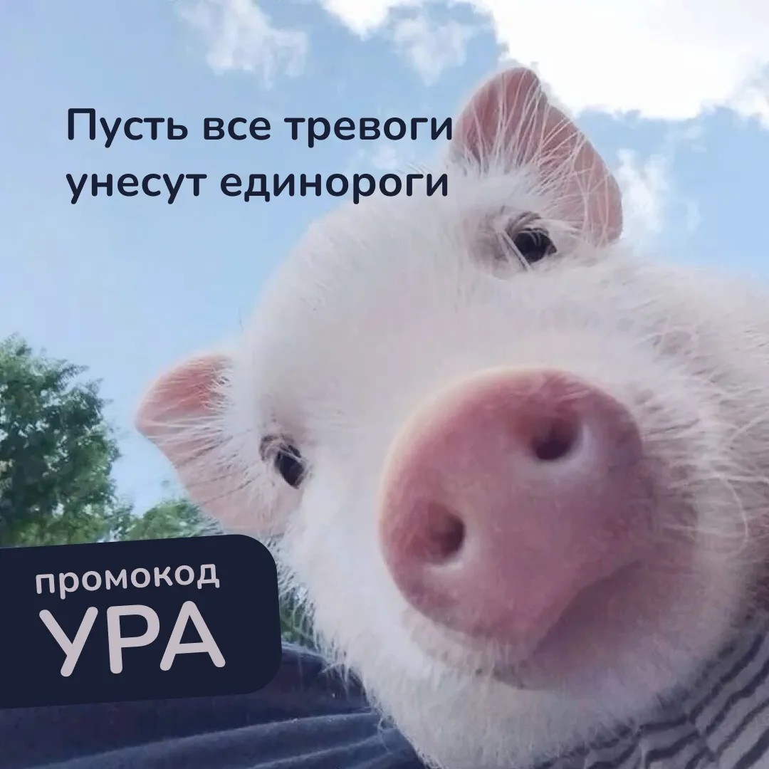 🎉 Ура! Понедельник!