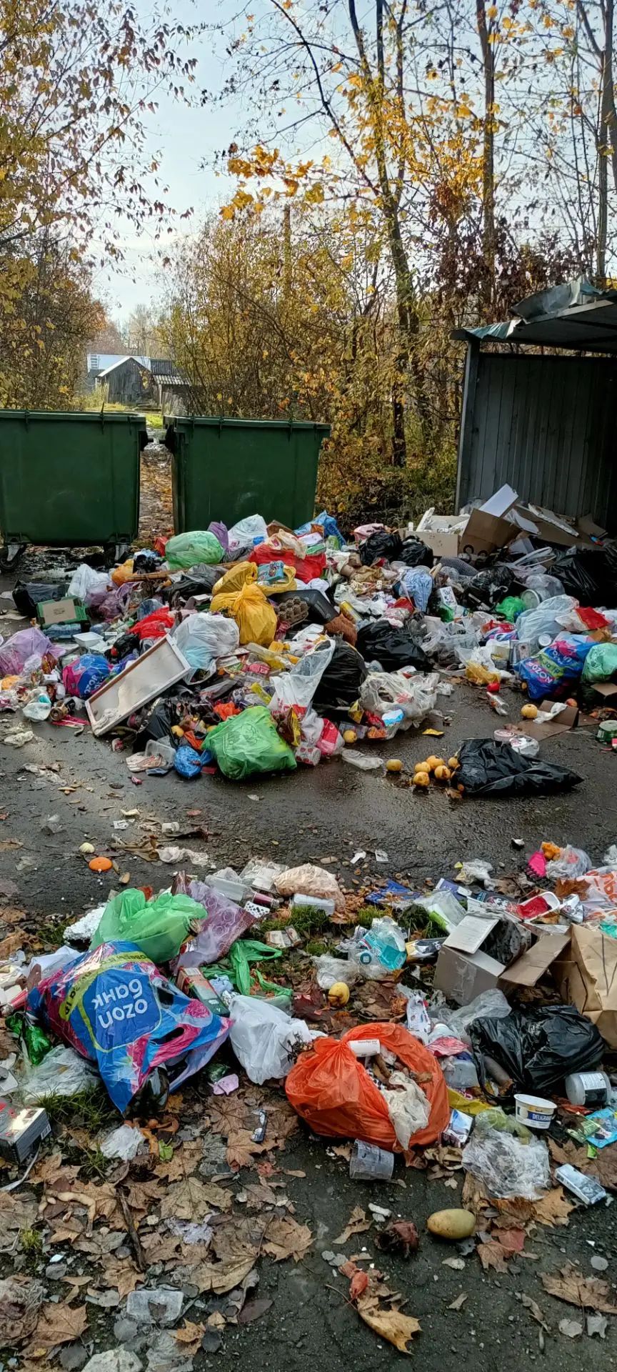 😡Санталово. Баки вывозят, а рядом собирать не надо...?