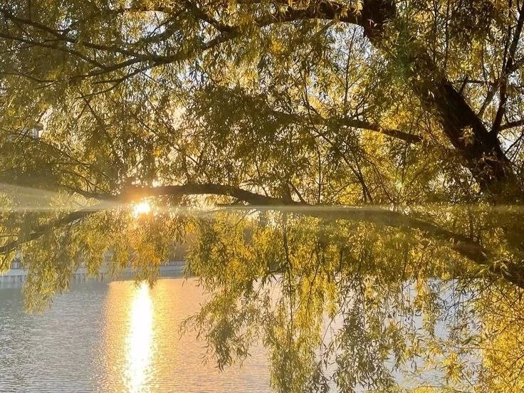 🌷 Доброе утро!