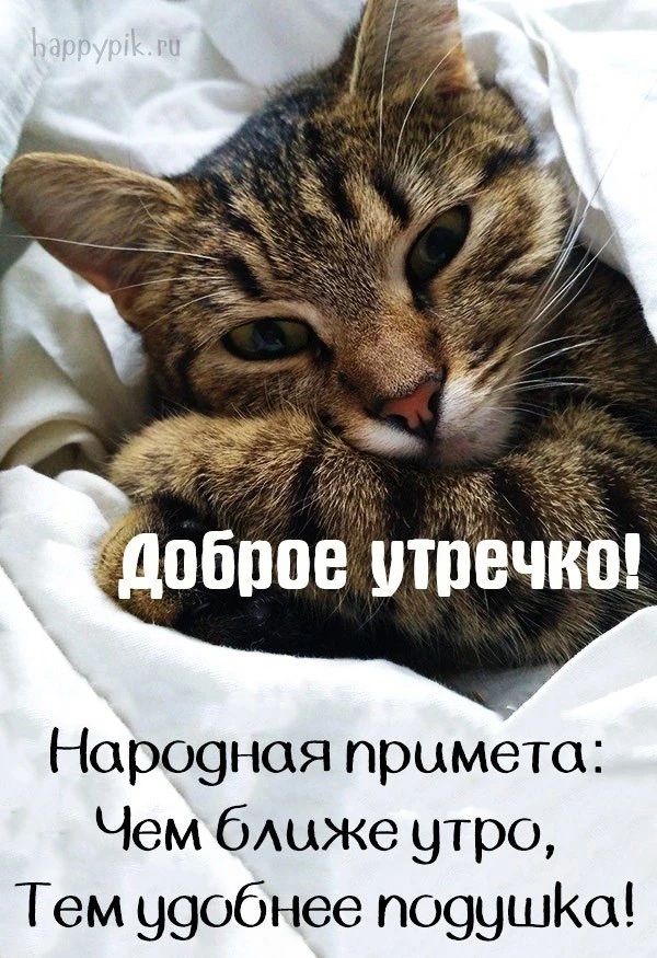 Счастливая Я ✨
