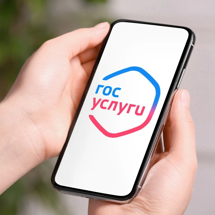 ✅ Подключение к электросетям через «Госуслуги»