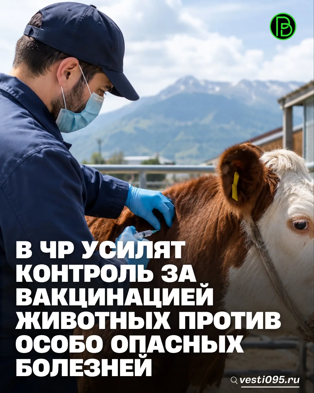 ⚡️⚡️⚡️Заместитель Председателя Правительства Чеченской Республики – министр сельского х...