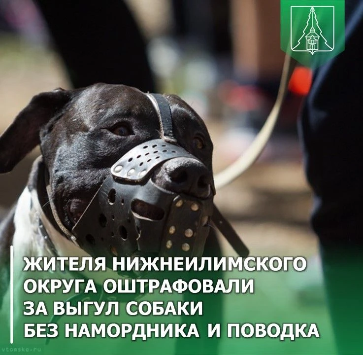 ⚖️ Итоги работы административной комиссии с 1 по 10 октября