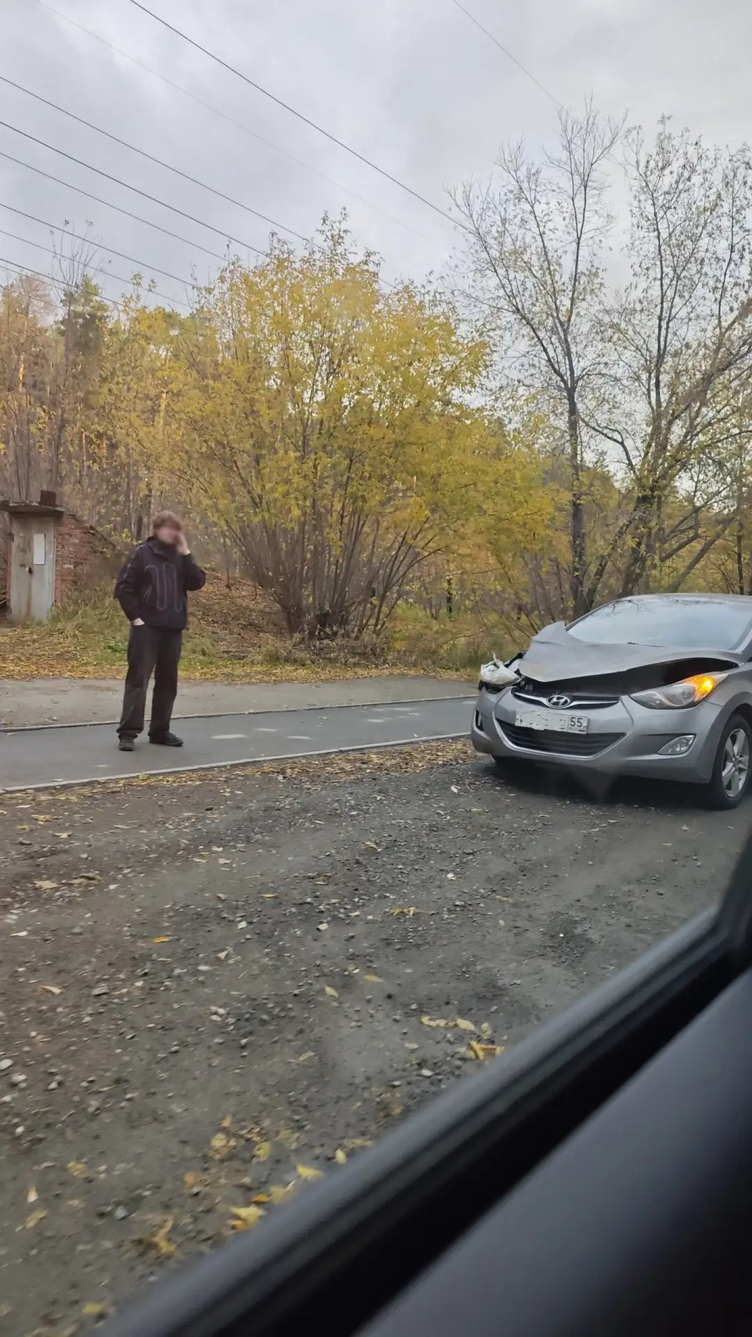 В Новосибирске автомобиль сбил лося