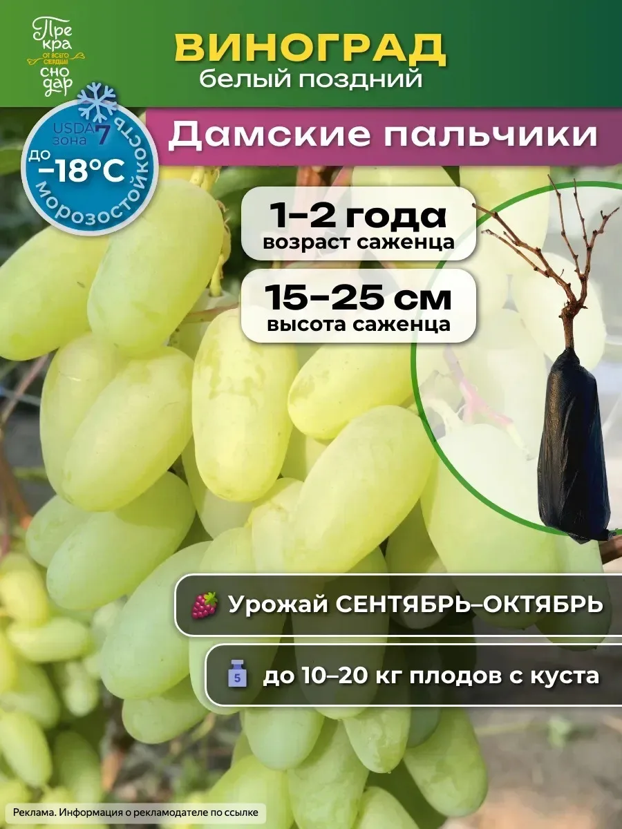 Хотите расширить свой виноградник? 🍇