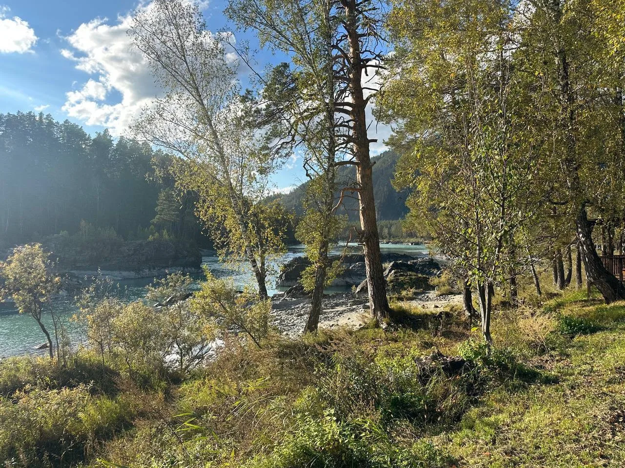 БЕРЕГ РЕКИ КАТУНЬ 🏔️