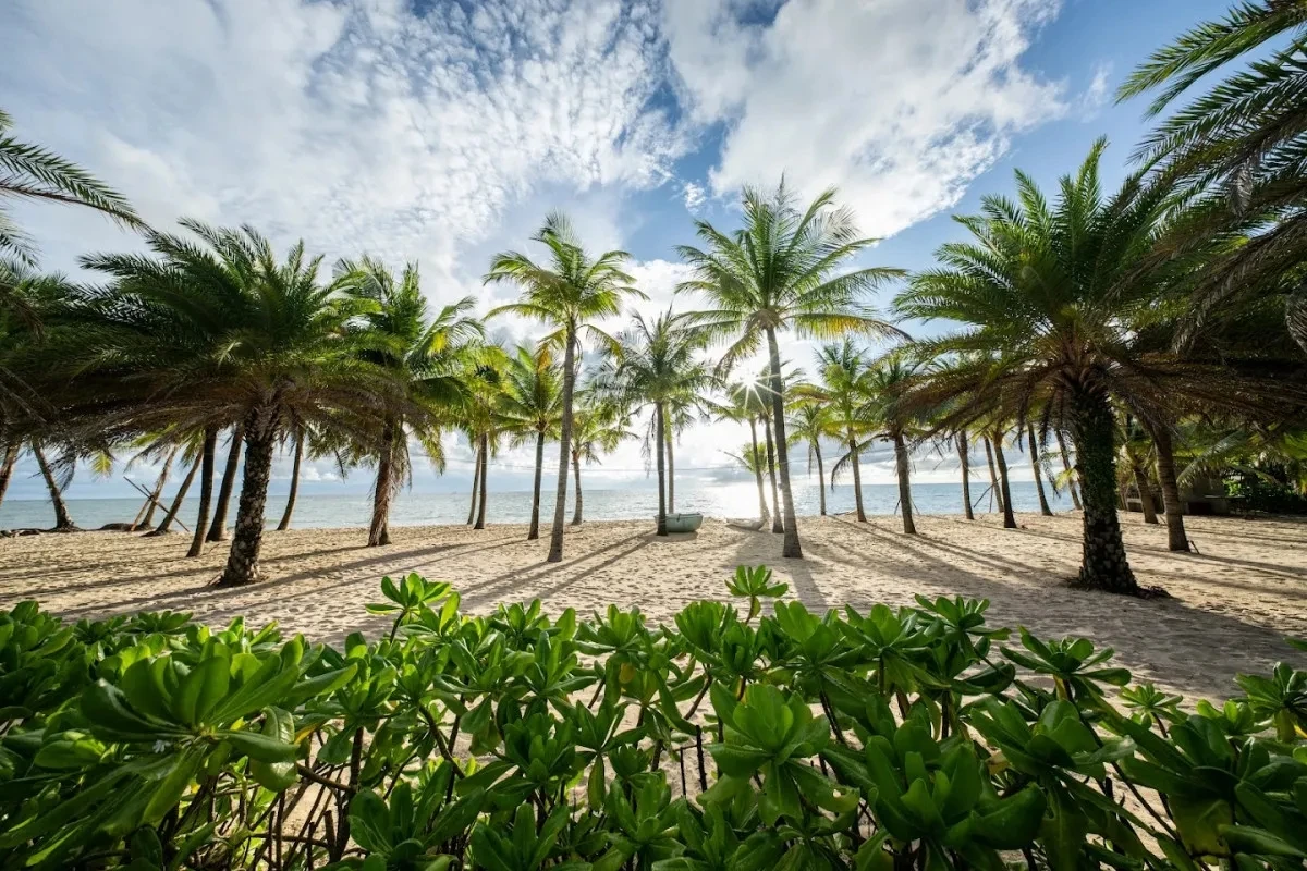 👍ВЕЛИКОЛЕПНЫЙ ФУКУОК - «Жемчужина Вьетнама»💖🌴☀🌊⛱