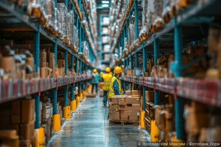 Прогноз по логопаркам переписали набело: падение отменили, рост вернули