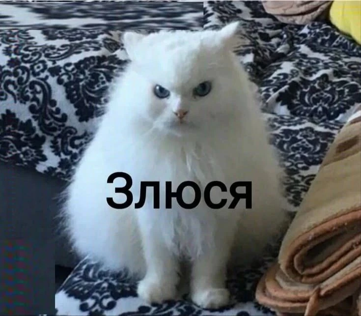 Солнце ☀️ ♥️