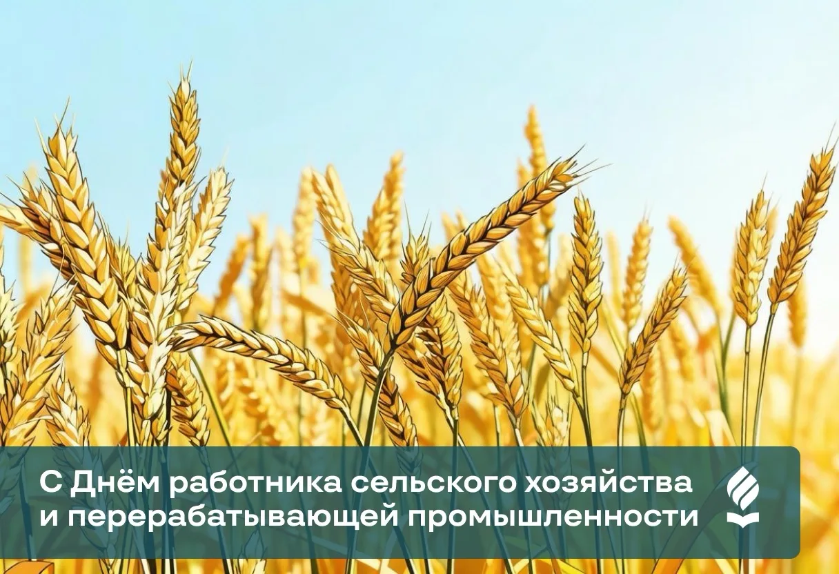 Сегодня свой профессиональный праздник отмечают все, кто обеспечивает продовольственную...