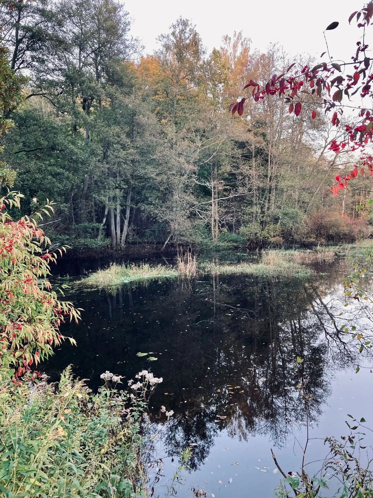 Очередной выезд семьёй на природу 🪵 🍂🍁