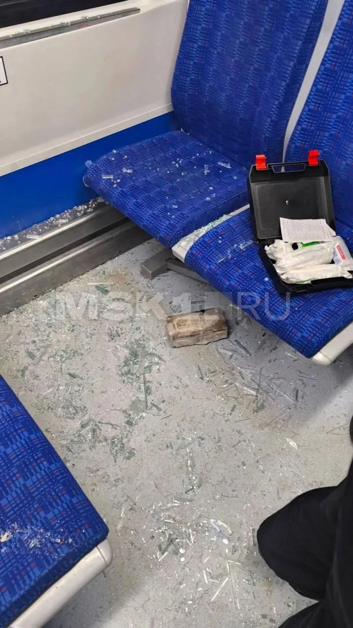 Кирпич прилетел в голову москвичке во время поездки в московской электричке. По словам ...