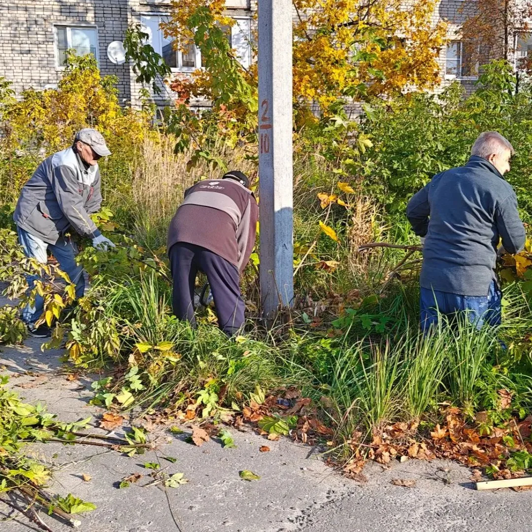 🧤🧹Сегодня наши сотрудники вместе со спортивными учреждениями и администрацией Петушин...