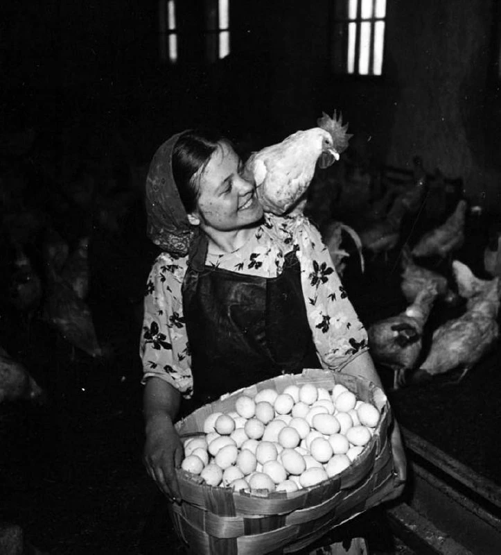 Работница птицефабрики, Кировск, СССР, 1950 год. Фото Якова Рюмкина.