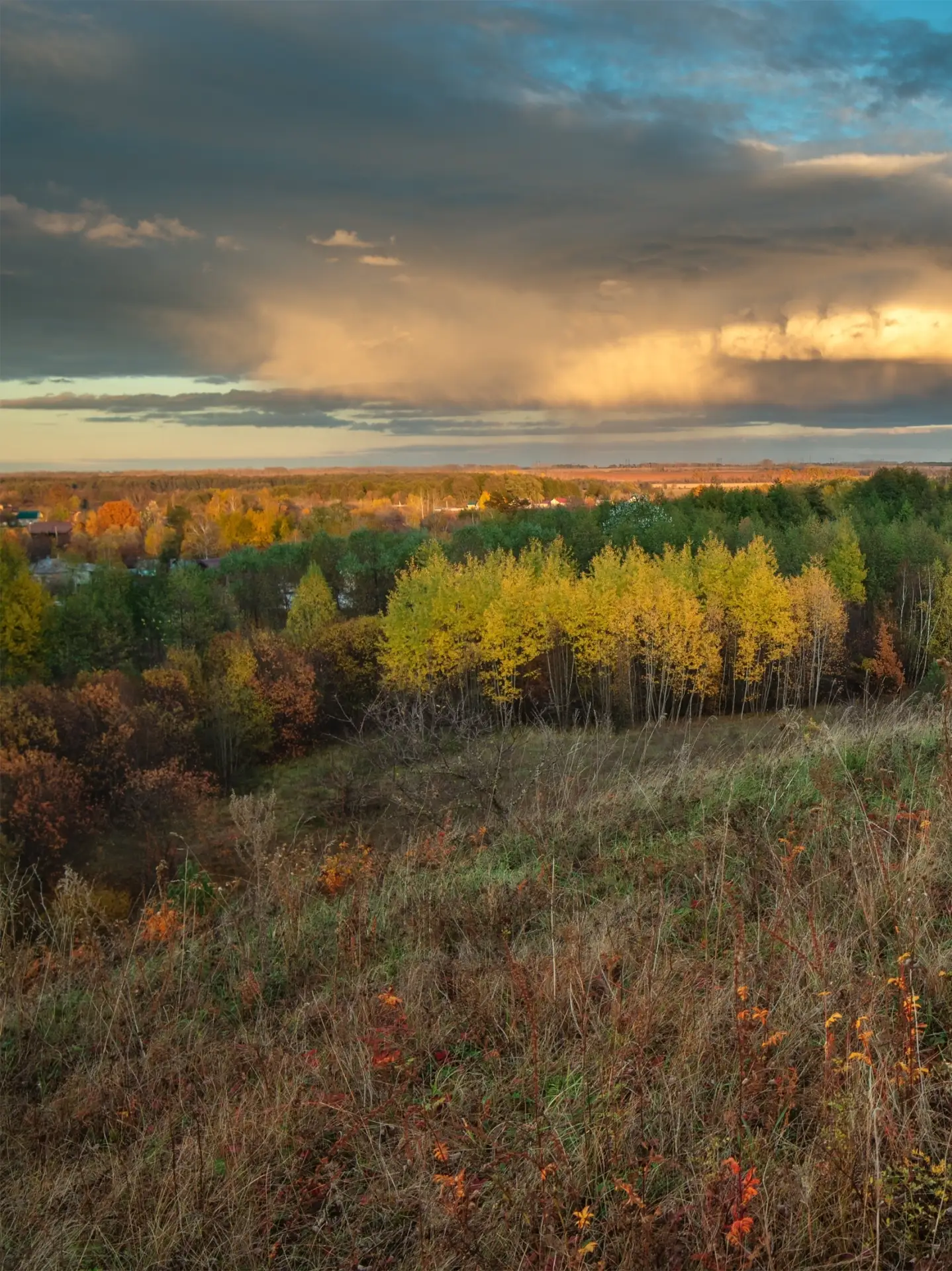 Осеннее разнотравье у села Хреновое 🍁🍂