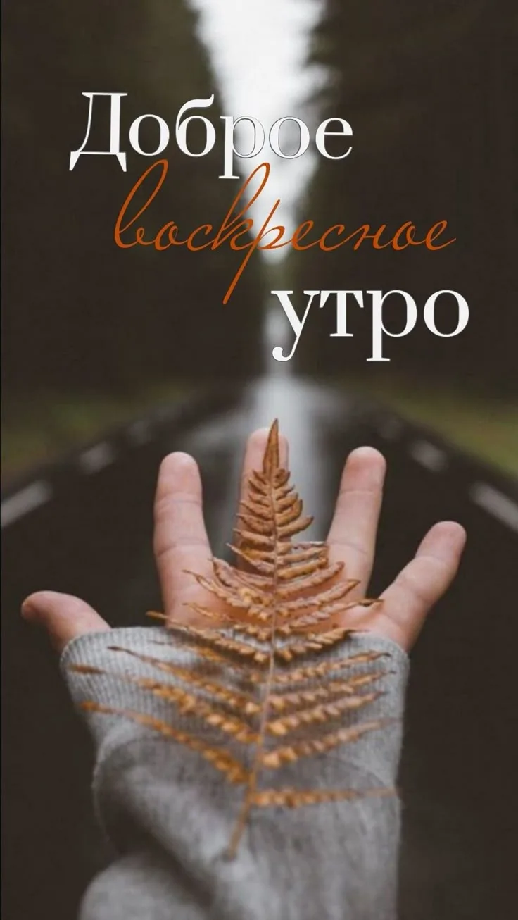 Доброе утро всем 👋