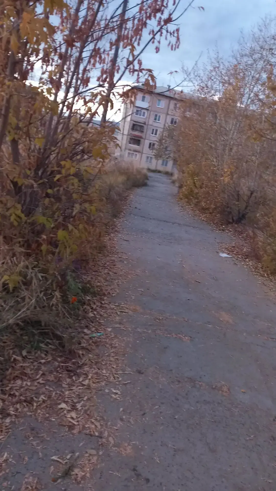 🔃 Обратная связь