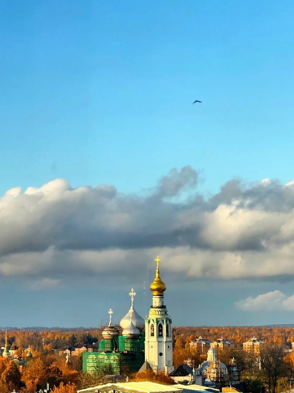 Днём вид из окна кабинета был такой❤️