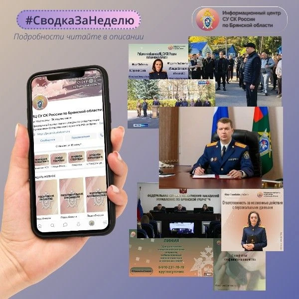 ИЦ СУ СК России по Брянской области в рамках рубрики #СводкаЗаНеделю представляет обзор...