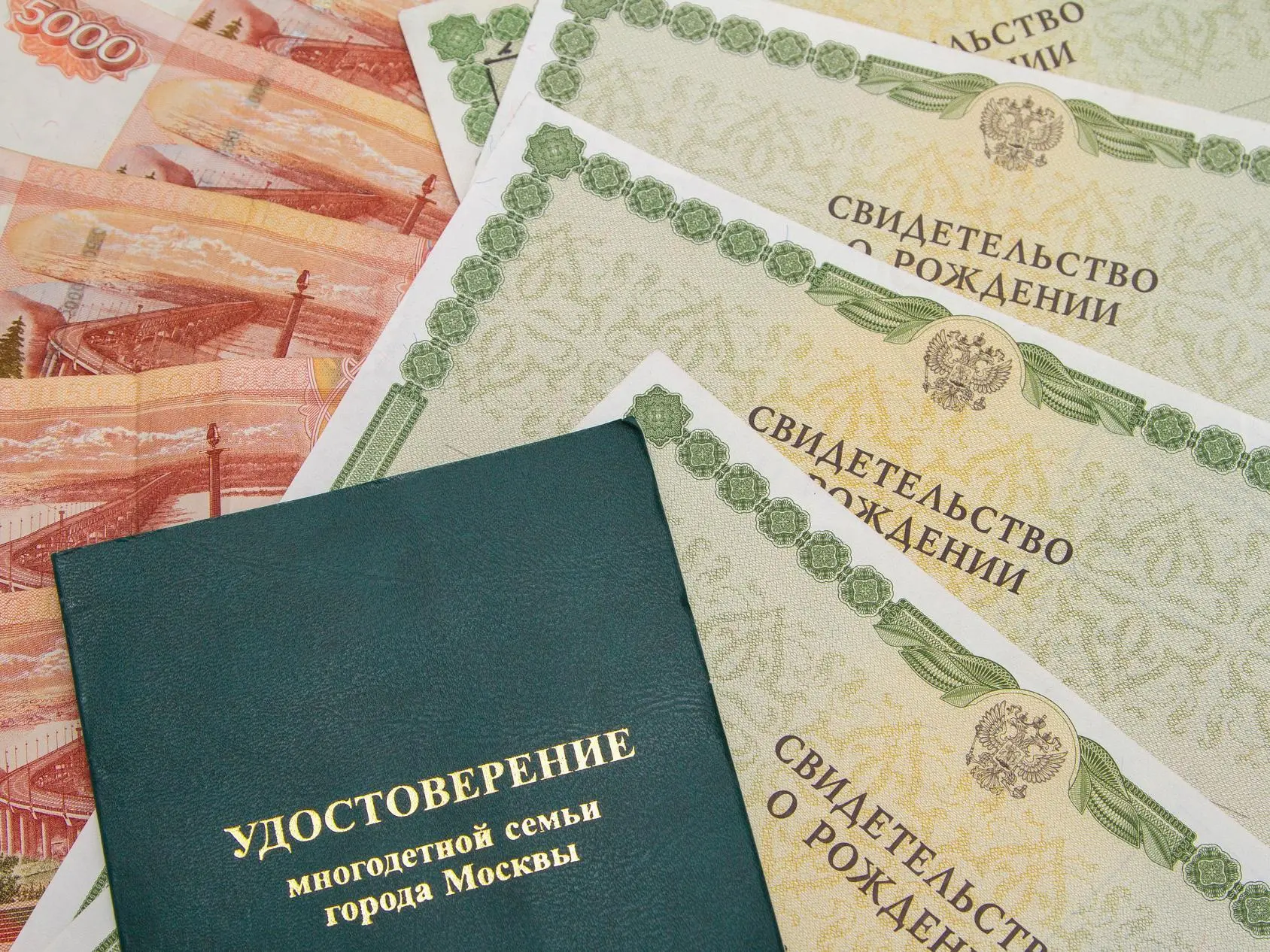 В защиту девяти детей и их родителей ﻿выступили две судебные инстанции