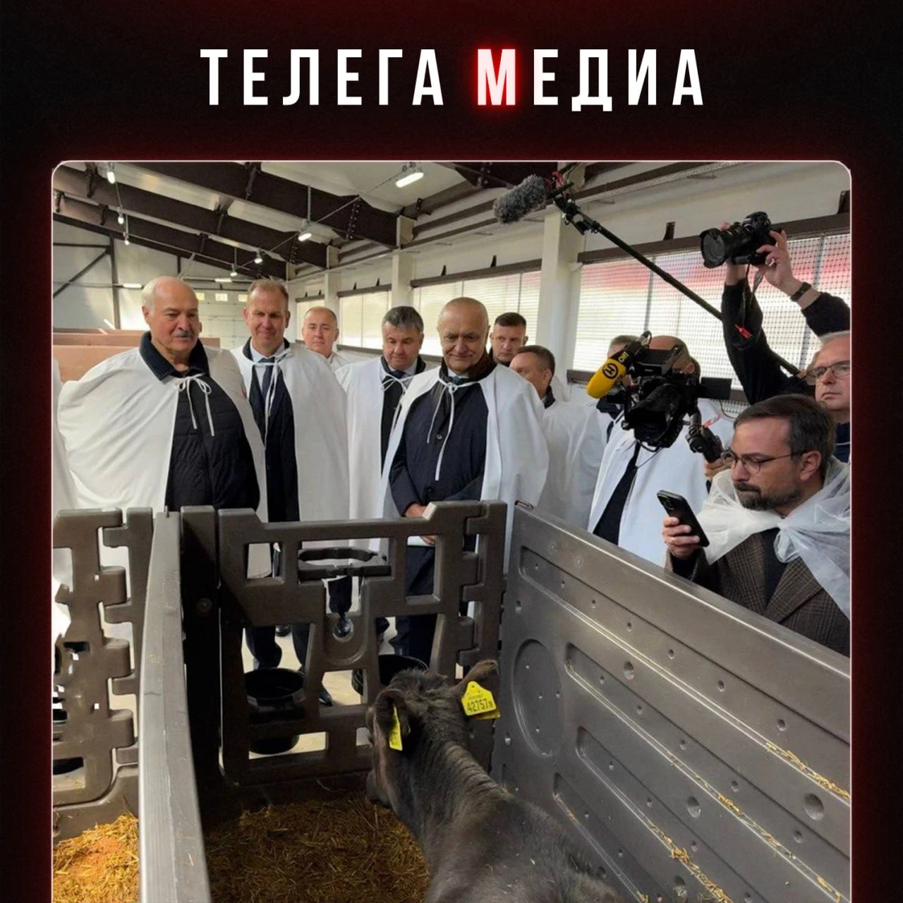 Коррупция Подарки шефу по-белорусски