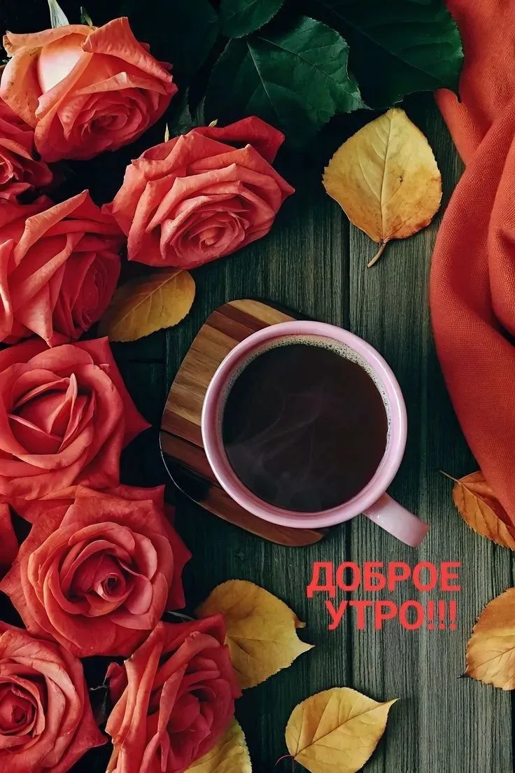 Доброе утро, друзья🍁
