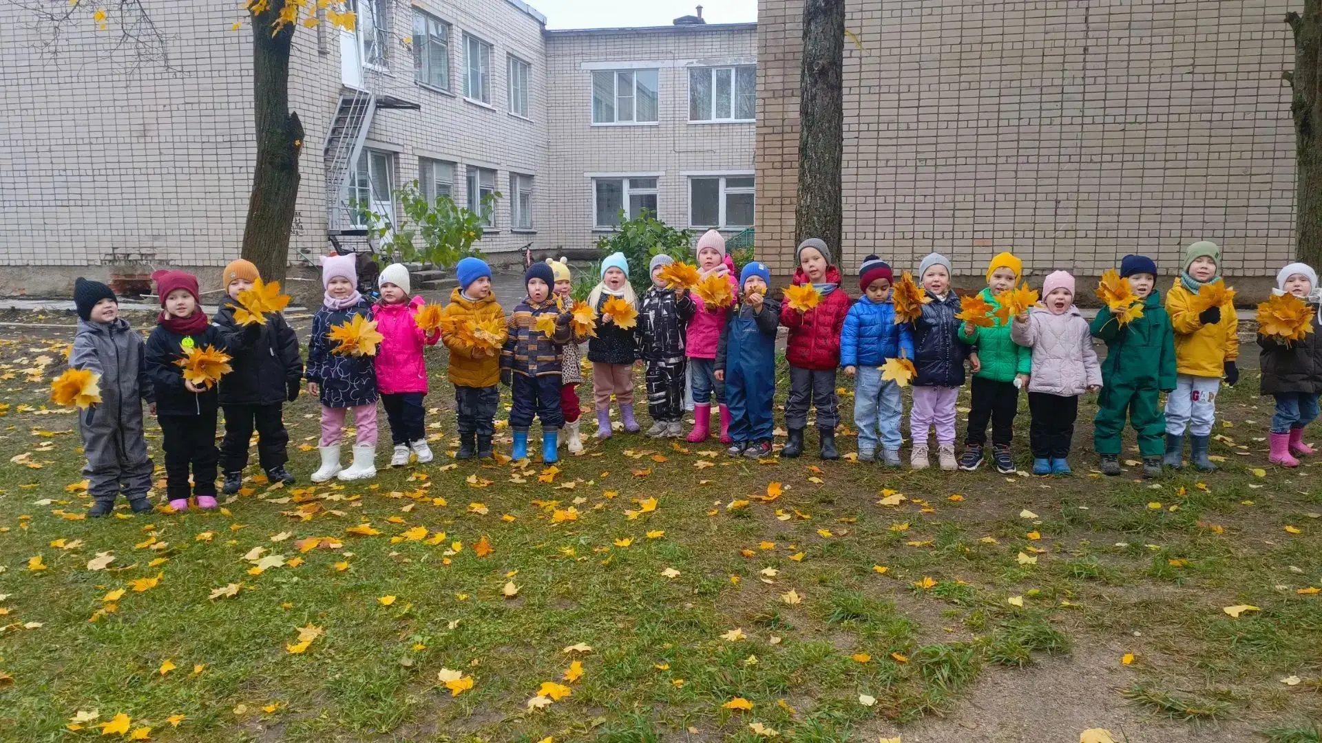 🍂 Золотая осень в детском саду: день собирания осенних листьев! 🍁