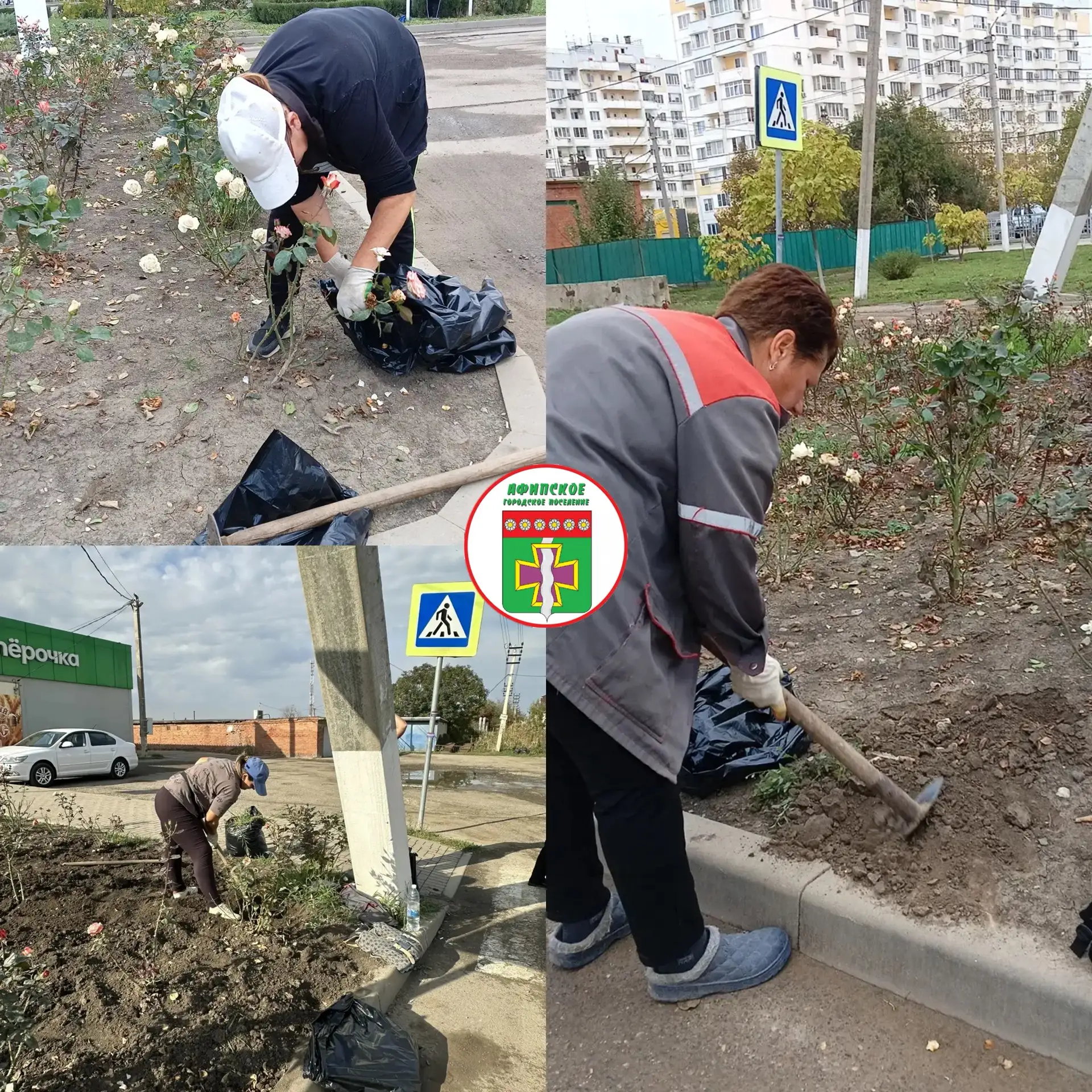 На территории Афипского городского поселения ведутся работы по уходу за зелеными насажд...