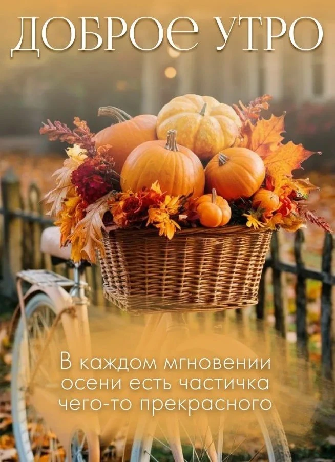 👉 ОТКРЫТКИ 💗 С добрым утром!
