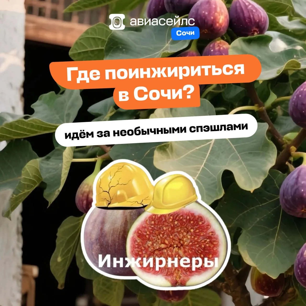 Как пережить понедельник? Сесть на инжирный экспресс и укатить в гастропутешествие по С...
