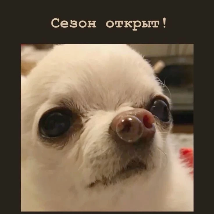 Ну что … о наболевшем… о соплях 🤧 и горле)
