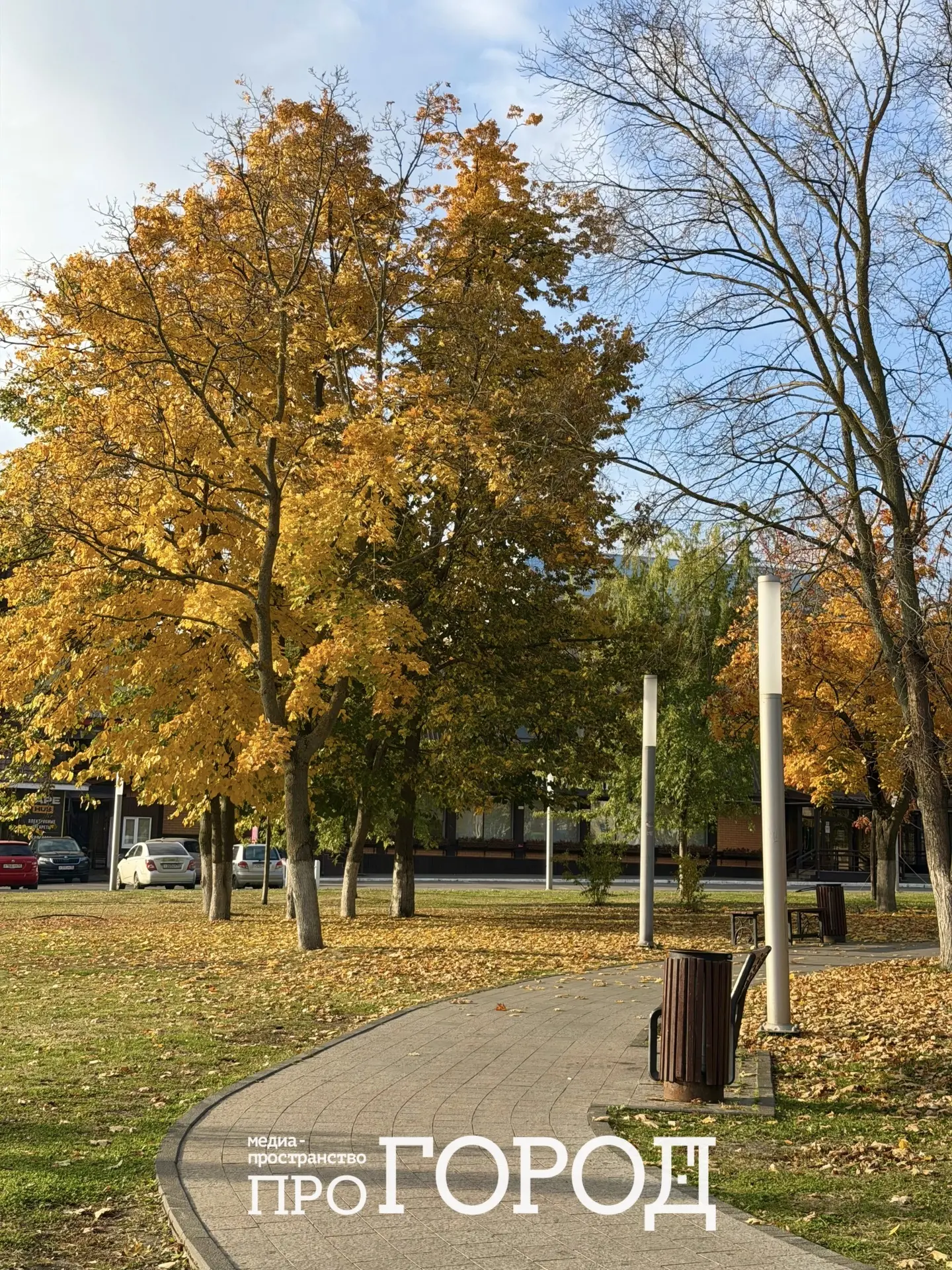 Золотая осень в Пензе ❤️🍂🍁