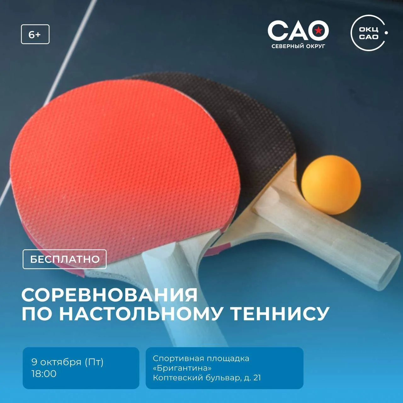 🏓 Районные соревнования по настольному теннису пройдут в Коптевском бульваре