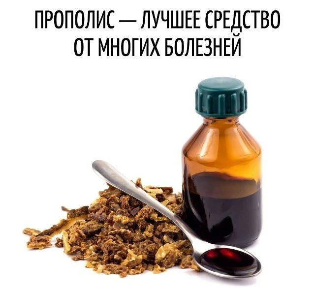 ☀️СОЗДАННЫЙ ЗАЩИЩАТЬ